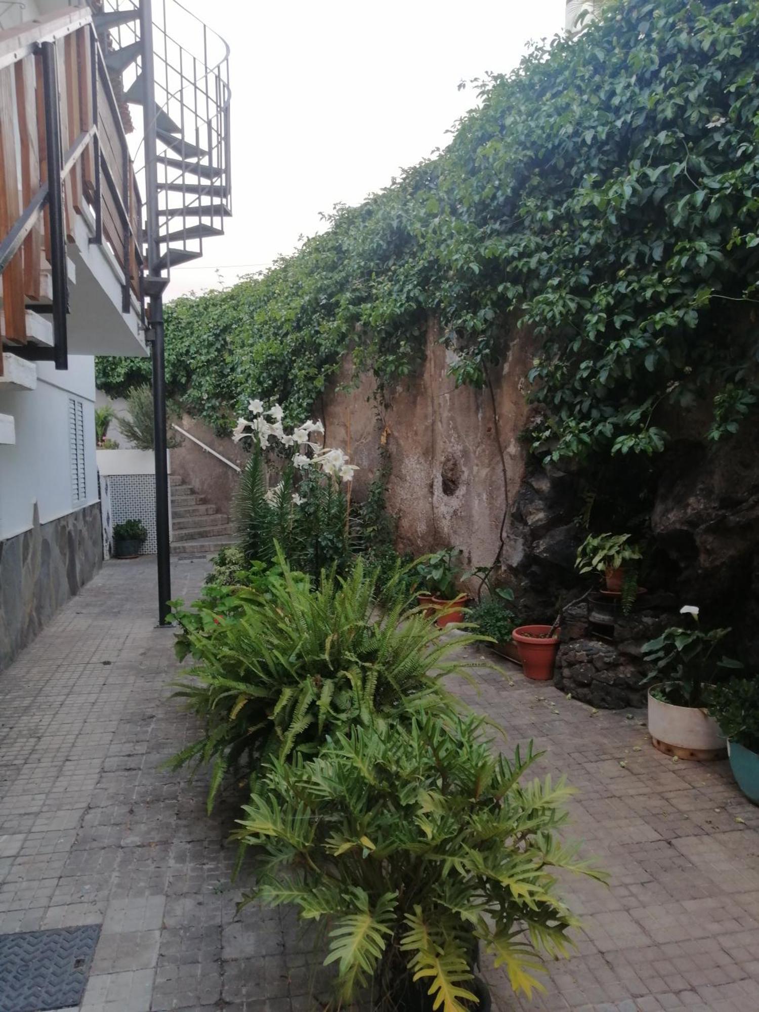Puerto De La Cruz - Sun House - Holidays - Resort Exterior foto